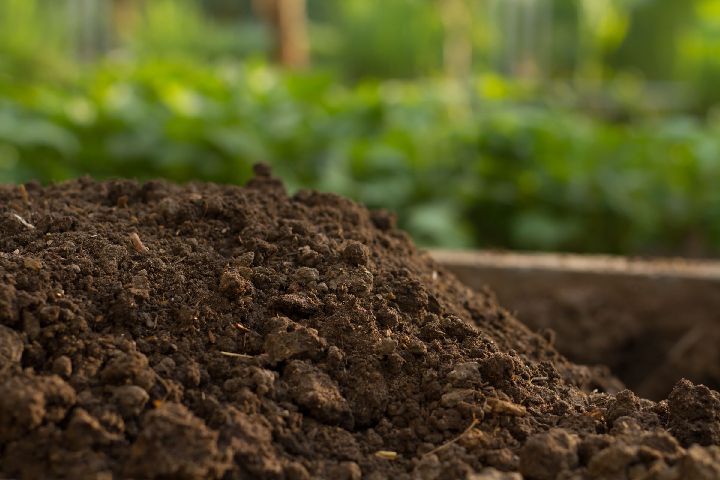 Understanding Impacted Soil