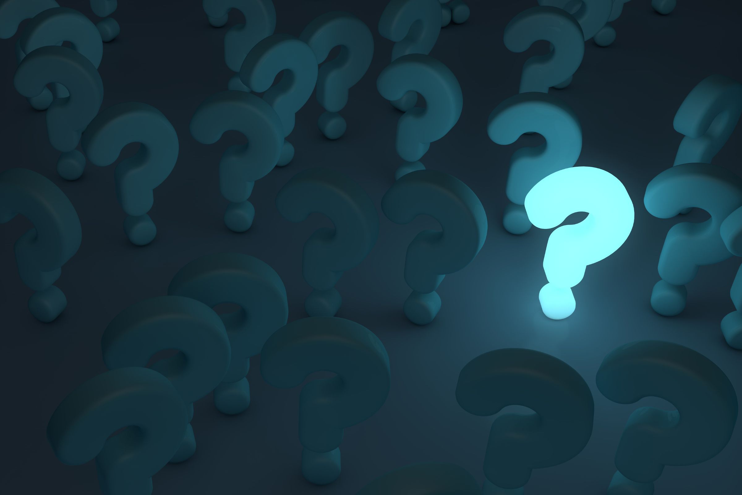 Top 5 Questions to Ask When Renting a Dumpster in New Jersey